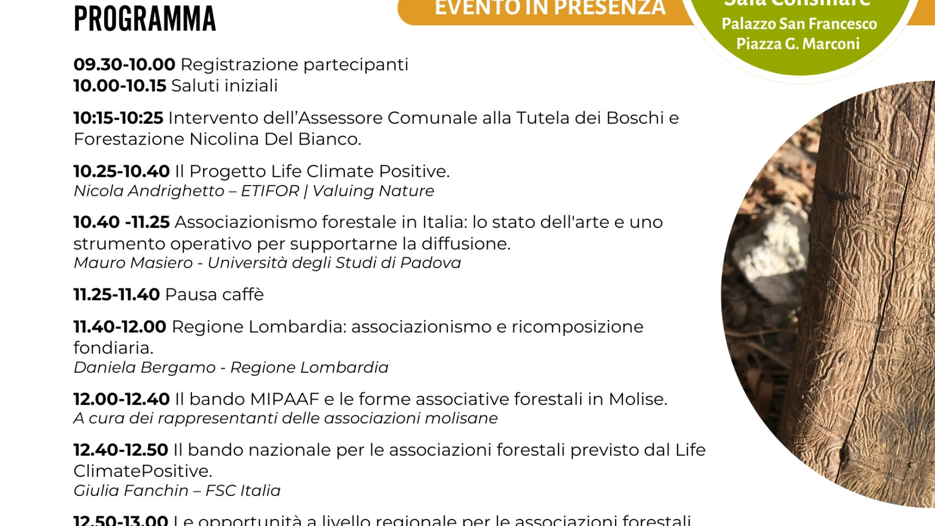 Isernia: il 27 febbraio in programma importante convegno sull'associazionismo forestale